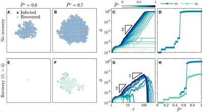 Infection Percolation: A Dynamic Network Model of Disease Spreading